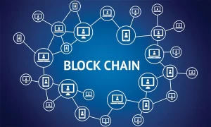 The Blockchains Currently Ruling the Cryptocurrency Market